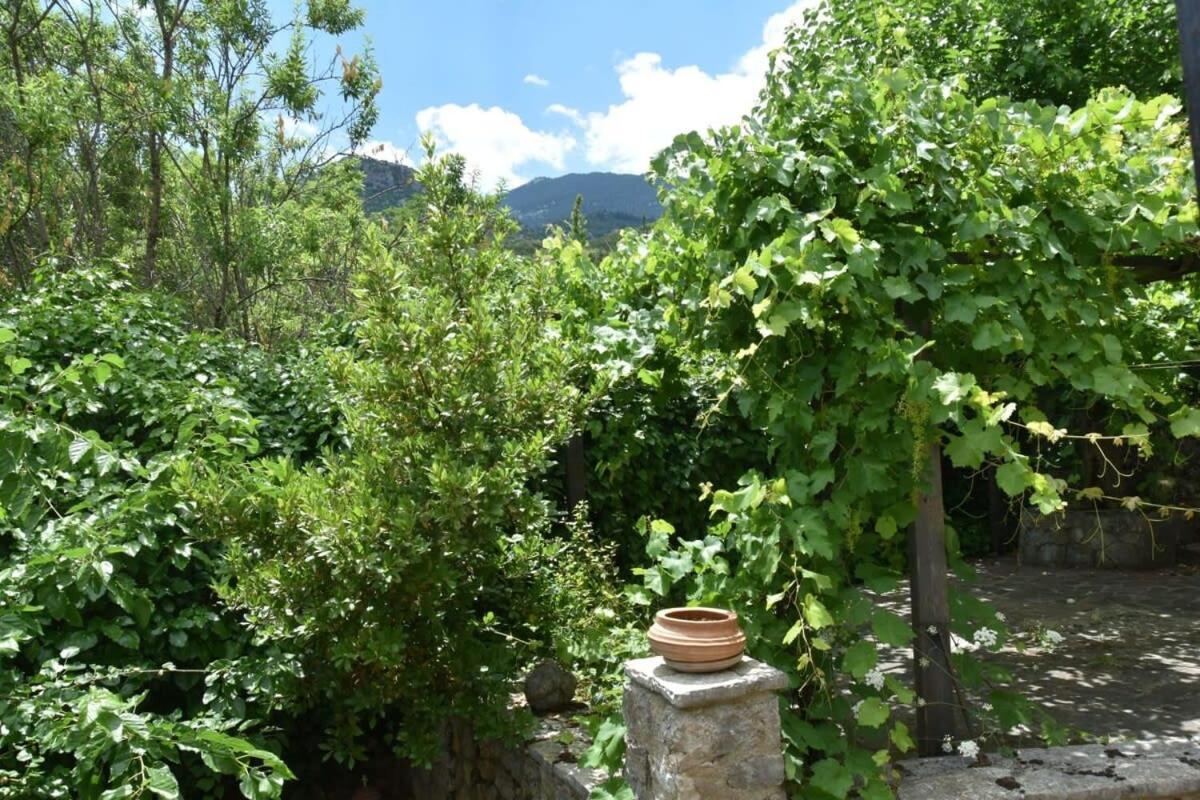 Mariolata Vintage Stone Villa - 4 Season Escape Extérieur photo